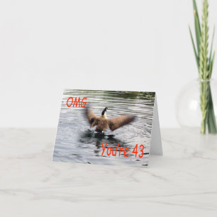 Happy 43rd Birthday Goose flapping Card