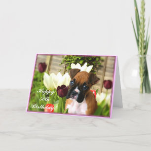 Happy 50th Birthday Boxer Greeting Card