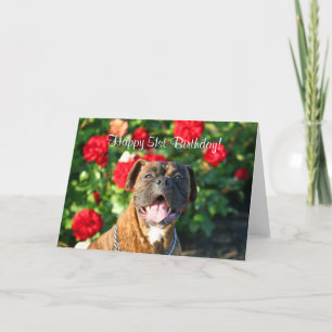 Happy 51st Birthday Boxer greeting card