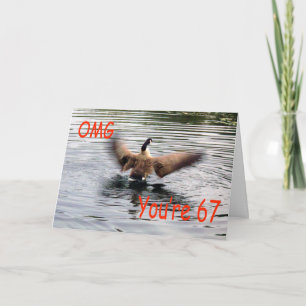 Happy 67th Birthday Goose flapping Card