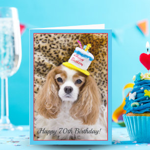 Happy 70th Birthday Cavalier King Charles Birthday Card