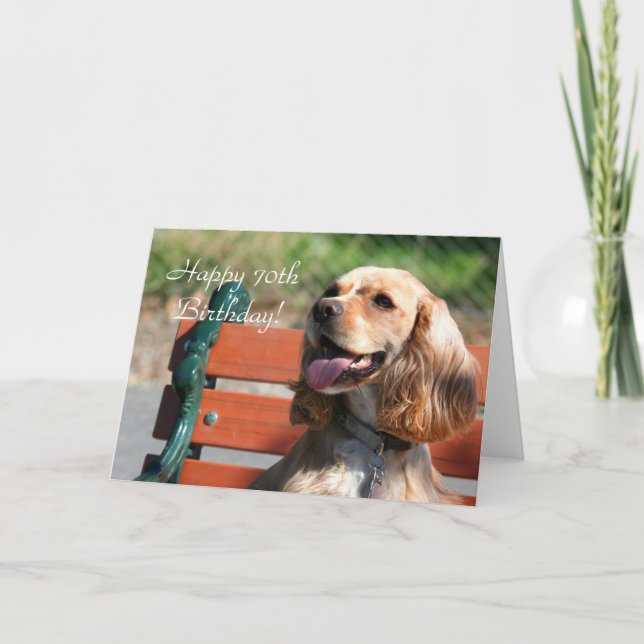 Happy 70th Birthday Cocker Spaniel Greeting Card (Front)