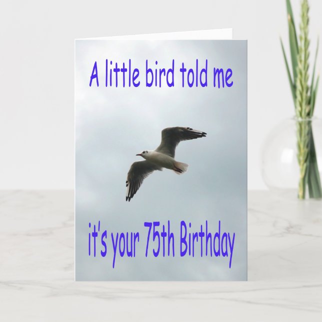 Happy 75th Birthday Flying Seagull bird Card (Front)