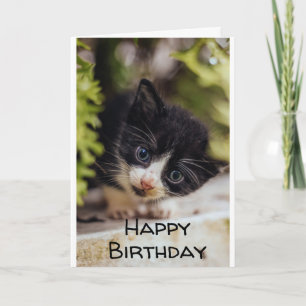 **HAPPY 7th BIRTHDAY FROM KITTY**  Card