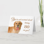 Happy 80th birthday, worried lab card<br><div class="desc">Humorous birthday card featuring a handsome Labrador Retriever,  who is not at all worried about the birthday person any getting older. After all,  in dog years,  they'd be their age times 7! Designed by Rycky Creations; lab photo courtesy of PhotoRack.</div>