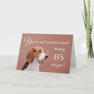 Happy 85th birthday, worried beagle card