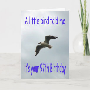 Happy 97th Birthday Flying Seagull bird Card