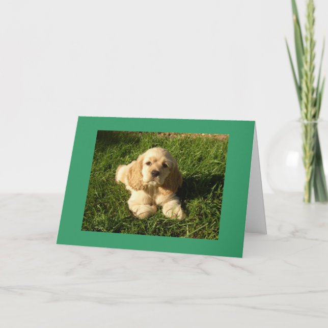 HAPPY ABOUT YOUR NEW "SON" CARD (Front)