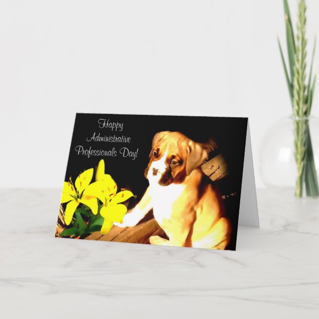 Happy Administrative Professionals Day Boxer Card (Front)