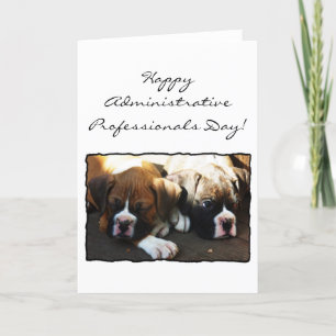 Happy Administrative Professionals Day Boxer Card