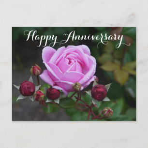 Happy Anniversary Bishop’s Castle Rose #1 Postcard