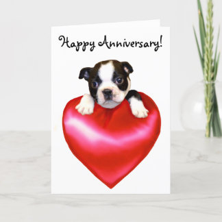 Happy Anniversary Boston Terrier Greeting Card