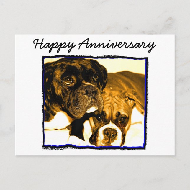 Happy Anniversary Boxer Greeting Card (Front)