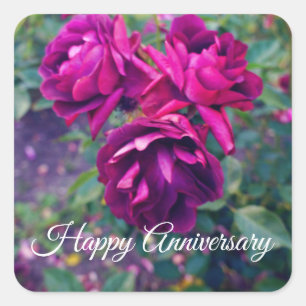 Happy Anniversary Burgundy Iceberg Rose #3 Sticker