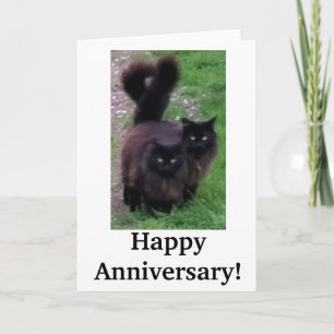 Happy Anniversary Card