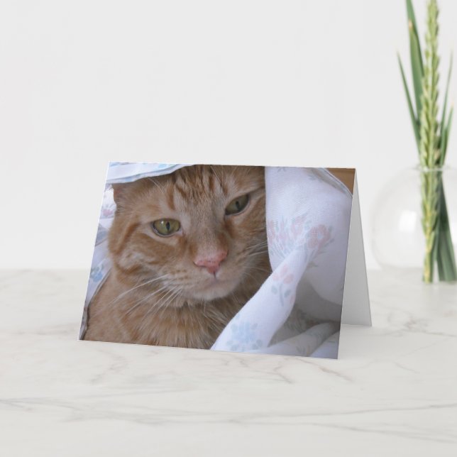 Happy Anniversary Card (Front)