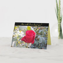 Happy Anniversary card - red rose funny