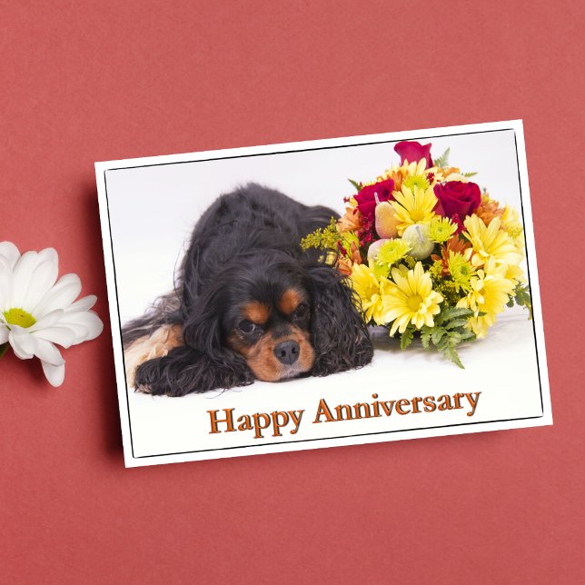Happy Anniversary Cavalier King Charles Spaniel Card (Creator Uploaded)