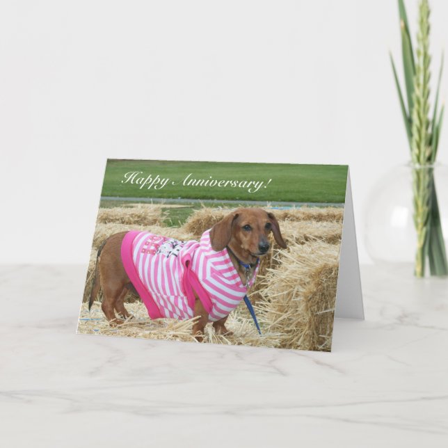 Happy Anniversary Dachshund greeting card (Front)
