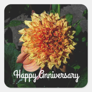 Happy Anniversary Dahlia Sandia Brocade #1 Square Sticker