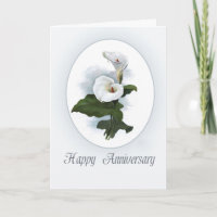 Happy Anniversary, Elegant White Calla Lily