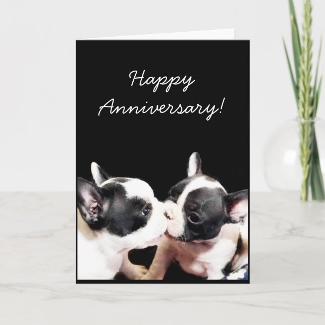 Happy Anniversary French bulldog greeting card (Front)