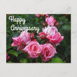Happy Anniversary Gene Boerner Rose #1 Postcard