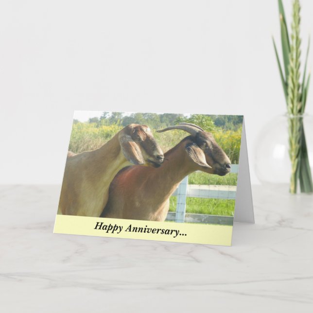 Happy Anniversary Goat/Kids Card (Front)