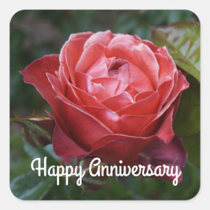 Happy Anniversary Hot Cocoa Rose #2-1 Stickers
