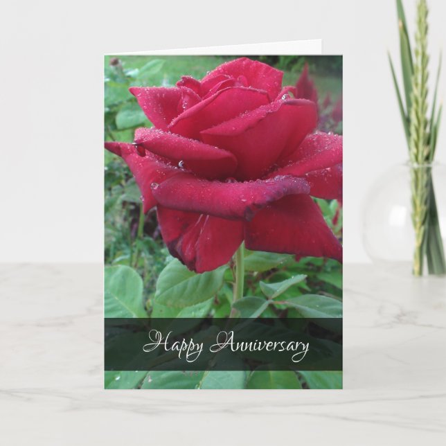 Happy Anniversary Love Red Rose Raindrops Card (Front)