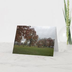 Happy Anniversary Morbid Card