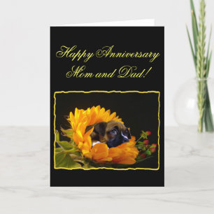 Happy Anniversary mum and dad Boxer Greeting Card