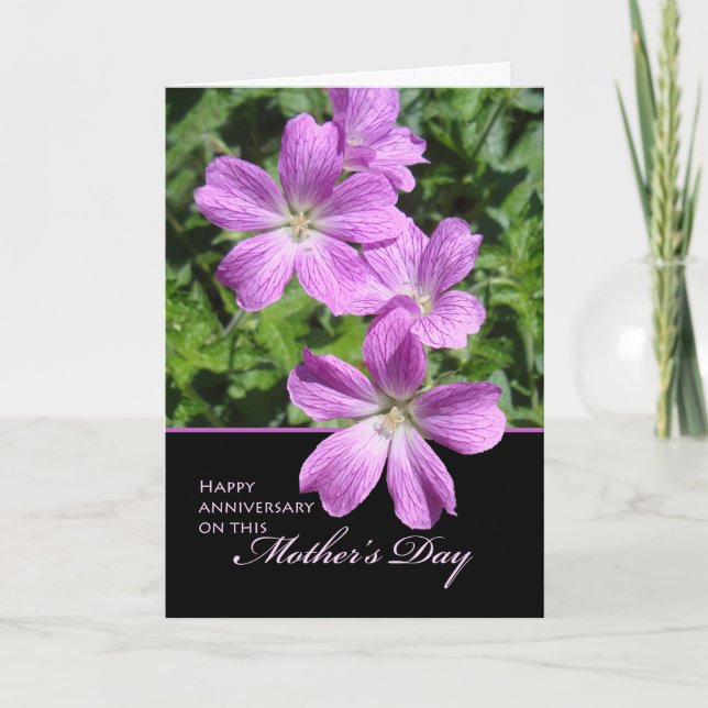 Happy Anniversary on Mother's Day, Geraniums Card (Front)