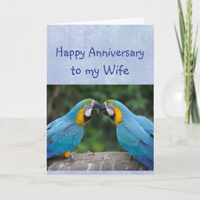 Happy Anniversary Parrot  Wife Love Card (Front)