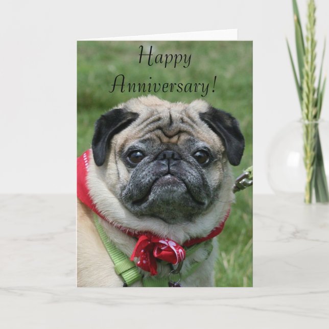 Happy Anniversary Pug Greeting Card (Front)