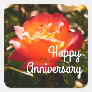 Happy Anniversary Rainbow Sorbet Rose #5 Stickers