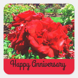 Happy Anniversary Red Rose #1 Stickers