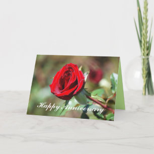Happy Anniversary Romantic Red Rose Card