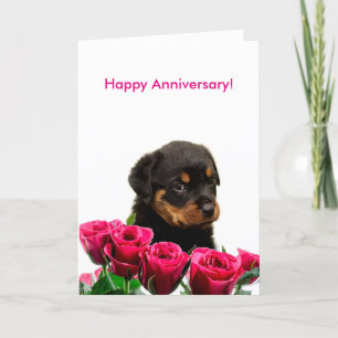 Happy Anniversary Rose Rottweiler Puppy Card