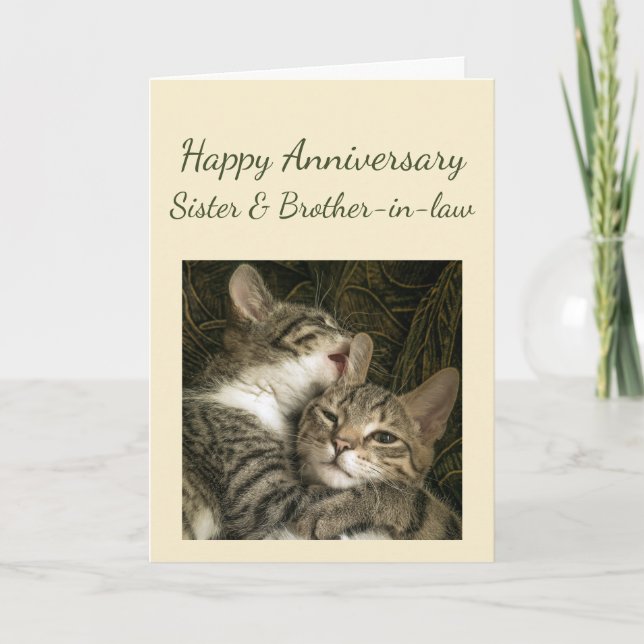 Happy Anniversary Sister & Brother-in-law Card (Front)