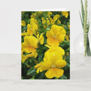 ***HAPPY ANNIVERSARY** SISTER & HUSBAND CARD