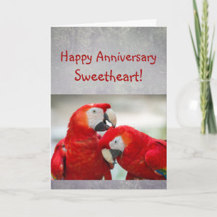 Happy Anniversary Sweetheart Parrot Couple Love Card