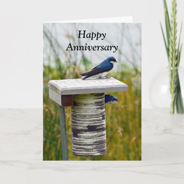 Happy Anniversary Tree Swallow Couple Card (Front)