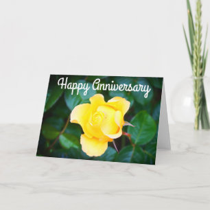 Happy Anniversary Walking on Sunshine Rose #1 Card