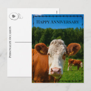 Happy Anniversary Western Cow Ranch & Farm Style  Holiday Postcard