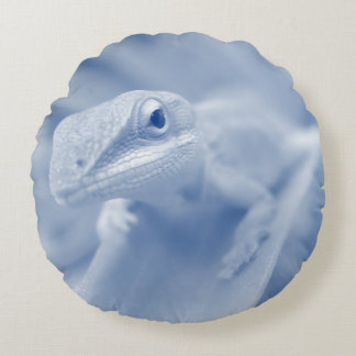 Happy Anole Round Cushion