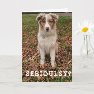 HAPPY *APRIL* BIRTHDAY FROM A VERY SMART AUSSIE CARD