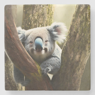 Happy Australian Koala Bear In Tree, Stone Coaster
