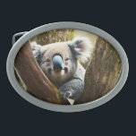Happy Australian Koala In Tree, Belt Buckle<br><div class="desc">Pictured in a tree is a Koala bear with a big smile</div>