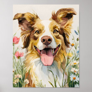 Happy Australian Shepherd in Flowers – Watercolor Poster